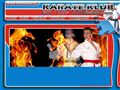 http://www.karateusti.cz